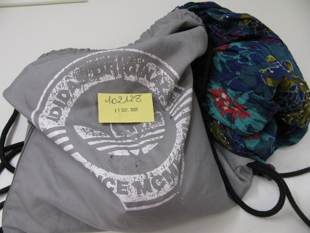 Sacs, valises : N° 2025005366 Trouvé(e) le : Thu Sep 11 00:00:00 CEST 2025