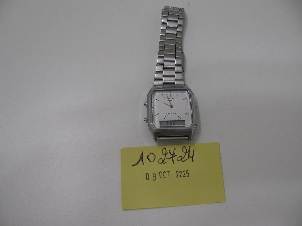 Montres et bijoux : N° 2025005962 Trouvé(e) le : Thu Oct 09 00:00:00 CEST 2025