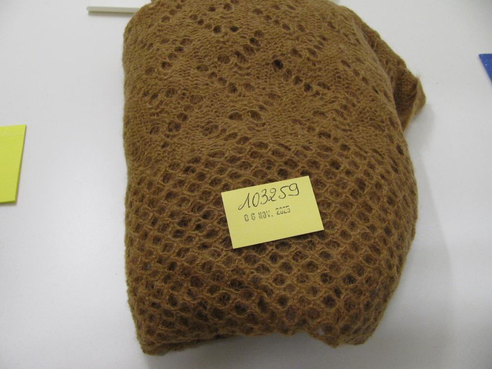Vêtements, chaussures, accessoires : N° 2025006497 Trouvé(e) le : Thu Nov 06 00:00:00 CET 2025
