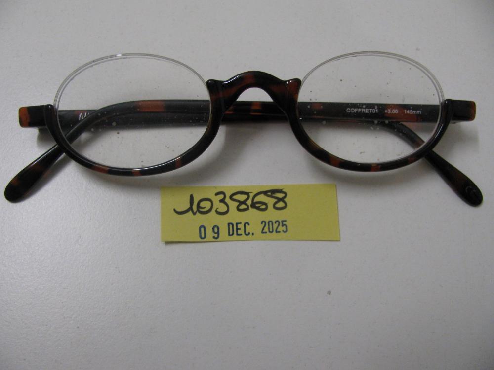 Lunettes : N° 2025007106 Trouvé(e) le : Tue Dec 09 00:00:00 CET 2025